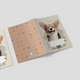 Capa para Boletim de Saúde Animal - Corgi