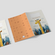 Capa para Boletim de Saúde Infantil - Girafa 2