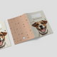 Capa para Boletim de Saúde Animal - Jack Russell Terrier