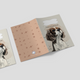 Capa para Boletim de Saúde Animal - Cavalier King Charles Spaniel
