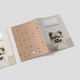 Capa para Boletim de Saúde Animal - Lulu da Pomerânia