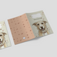 Capa para Boletim de Saúde Animal - Podengo