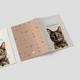 Capa para Boletim de Saúde Animal - Gato Tartaruga